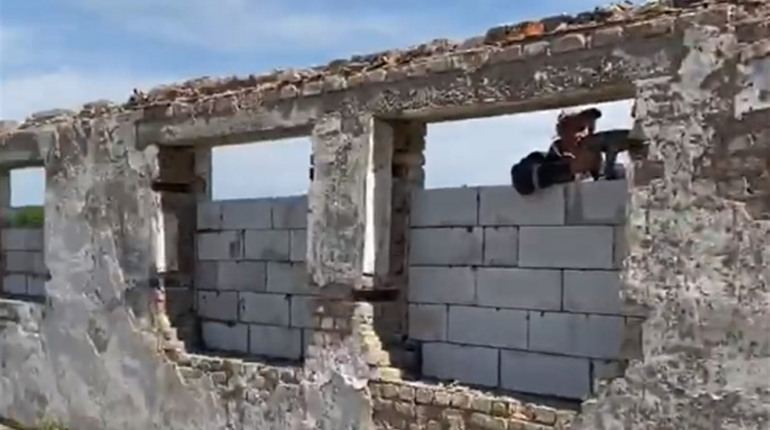 Будівництво собачого притулку в Переяславі: що вже зроблено?
