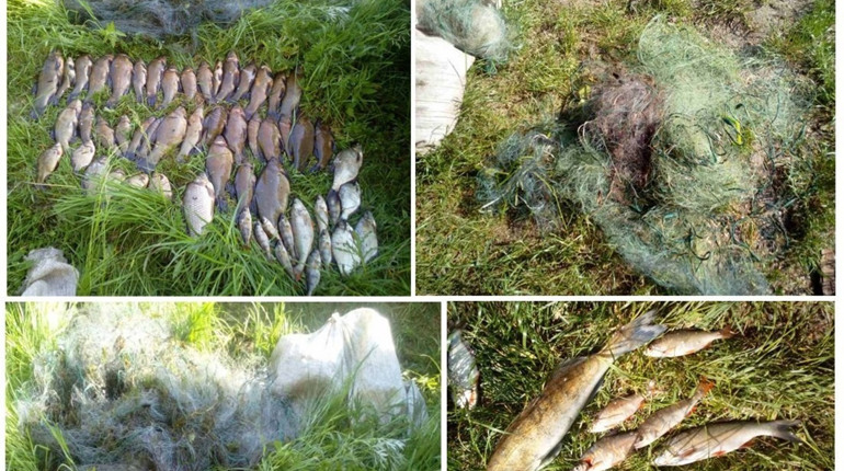 На Менщині спіймали двох браконьєрів з 17 кілограмами риби
