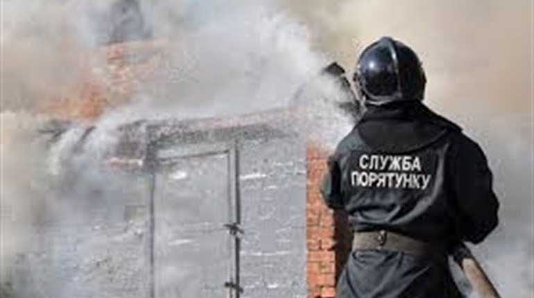 У Козилівці на Корюківщині блискавка влучила у сарай. Загинули домашні тварини