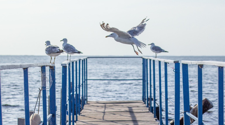 Дивовижні місця на курортах України, які чекають туристів