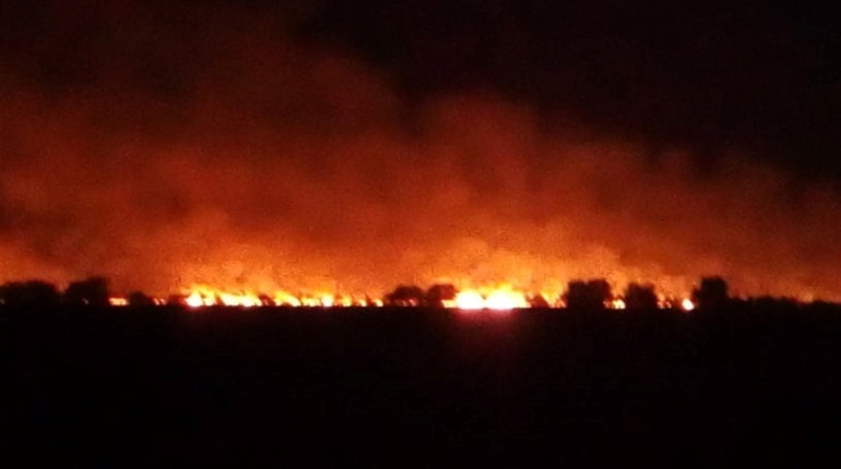 Вражаючі кадри пожежі: горіло поле стерні біля Степного