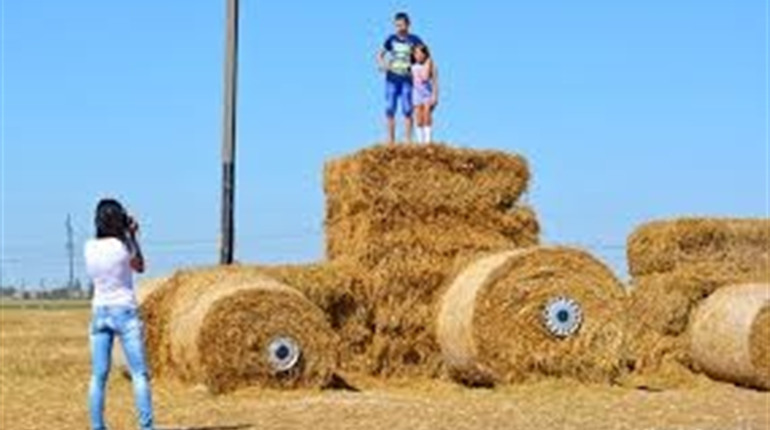 Фермерські поля із тюками соломи – популярні локації для фотосесій. Як знімаються переяславці