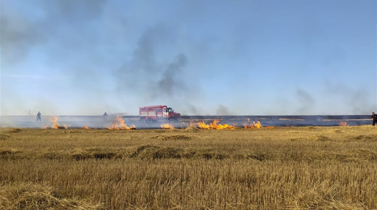 Вигоріли 14 гектарів: за Катеринівкою вдруге за кілька днів палала стерня