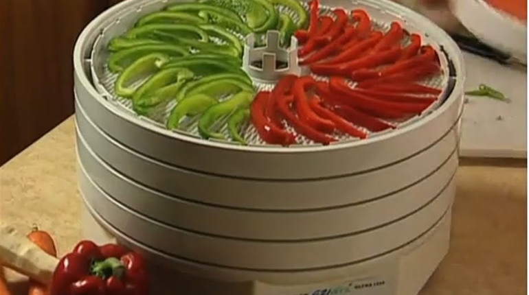 Все секреты сушилок для фруктов, овощей и грибов. Выбирайте полезный прибор, чтобы делать полезные и