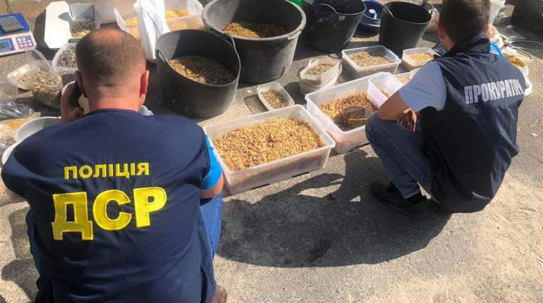 Правоохоронці вилучили сотні кілограмів бурштину на понад 2 мільйони гривень