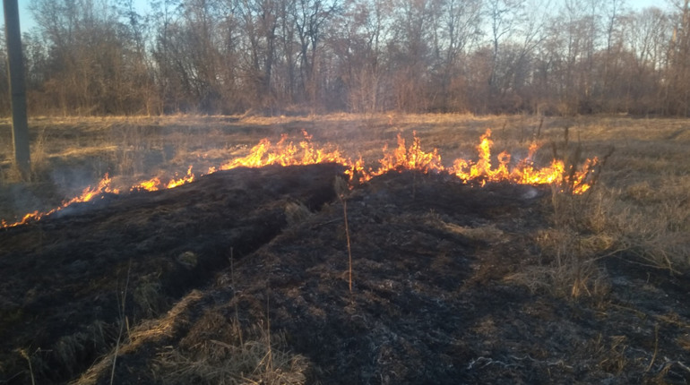 На Менщині почастішали підпали сухої трави. Пожежники застерігають