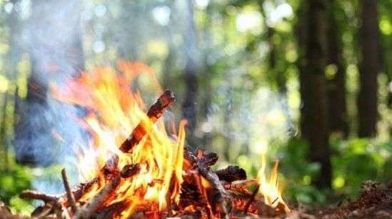 На Полтавщині оголошено найвищий рівень пожежної небезпеки