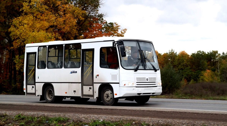 Кількість рейсів соціального транспорту з Троїцького до Попасної збільшили