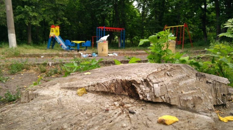 Первомайськ планує вкласти в Молодіжний парк 250 тисяч гривень: оголошено торги