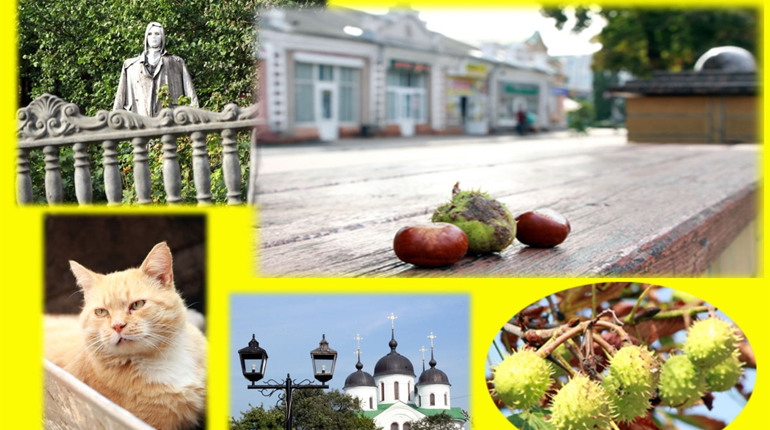 У Ніжині господарює вересень. Фотоетюди 