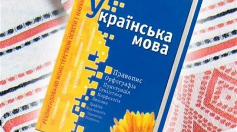 В яких школах Кіцманщини найкраще здали ЗНО з української?