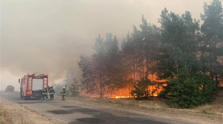 У Конотопі збирають допомогу для постраждалих від пожеж на Луганщині. Як долучитися