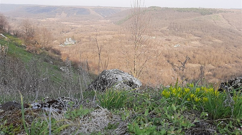 Дві чортків'янки найбільше відзняли пам'яток природи для міжнародного конкурсу