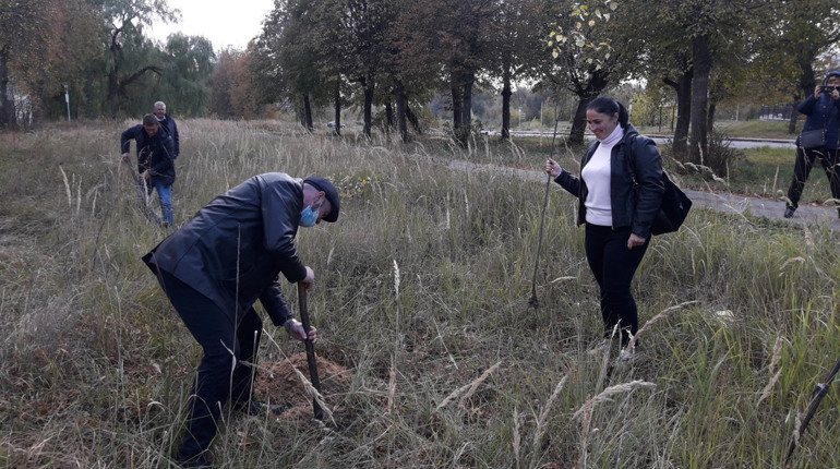 Біля Шосткинського інституту СумДУ висаджували сосни та берізки