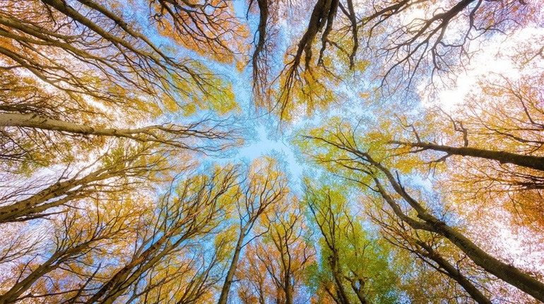 Погода на тиждень для барчан