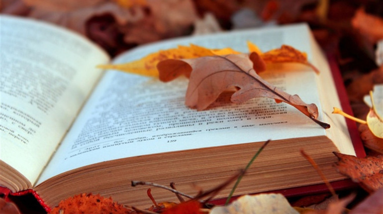 5 книг, які допоможуть пережити осінній сум: вибір від Ніжин.Сіty