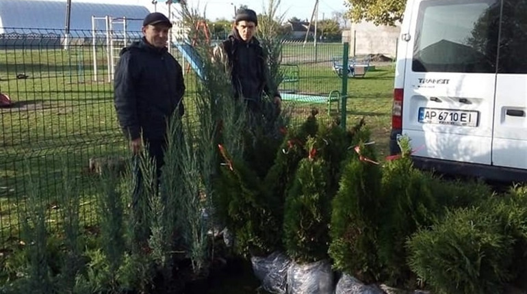 Озеленювати населені пункти почали восени: у Вільному та Змаганні висадили дерева і кущі троянд