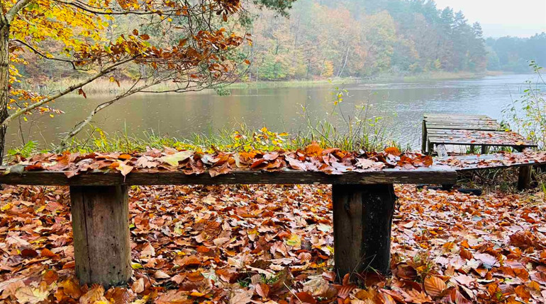 Хто став двічі переможцями конкурсу «Осінь у Калуші: спіймайте фотомить» і його срібним призером