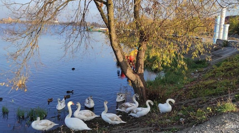 Погода у Старокостянтинові з 2 по 6 грудня: чого очікувати від початку зими