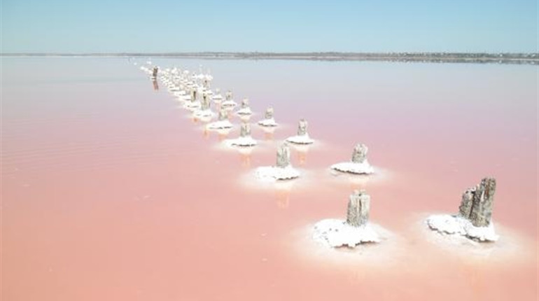 Отдых и лечение в санатории Куяльник