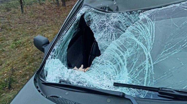 Водія, який збив юнака на Менщині, на два місяці посадили під варту