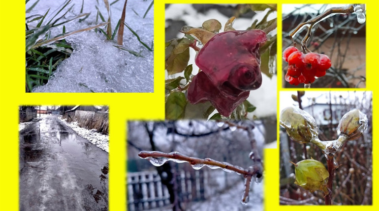 Природа дивує!