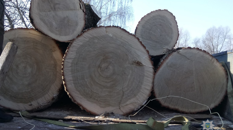 У Корюківці увечері вихідного дня «арештували» автомобіль з дубом