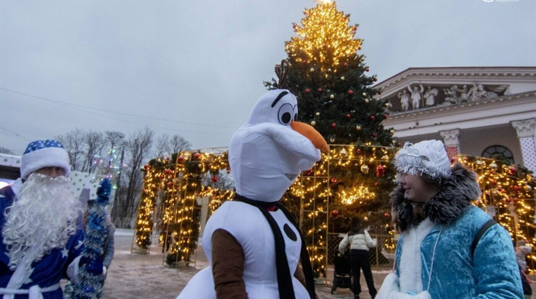Новогодняя красавица. Какую ёлочку признали лучшей в Украине?