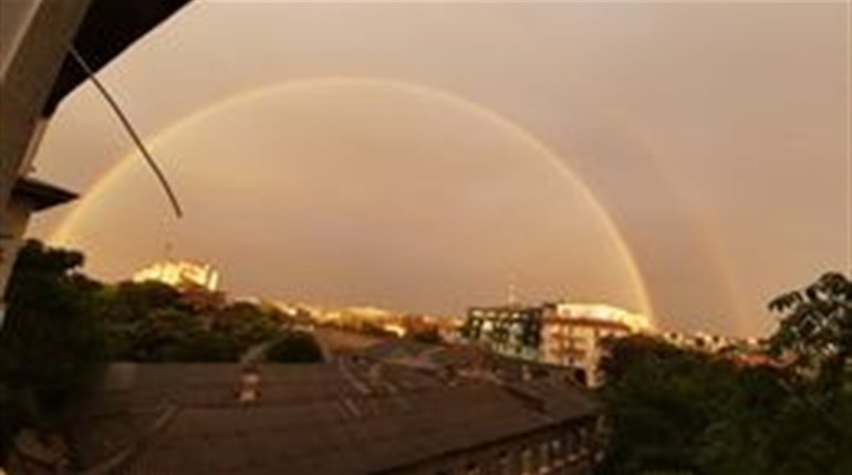 Зима в Криму почалась з весни. Фото новорічного Криму з різних його куточків