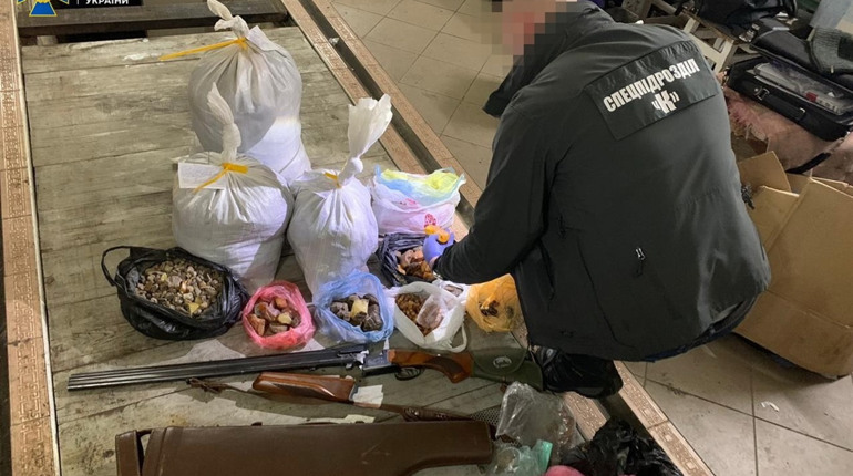 У Новограді співробітники СБУ вилучили 55 кілограмів бурштину та затримали двох "бізнесменів" 