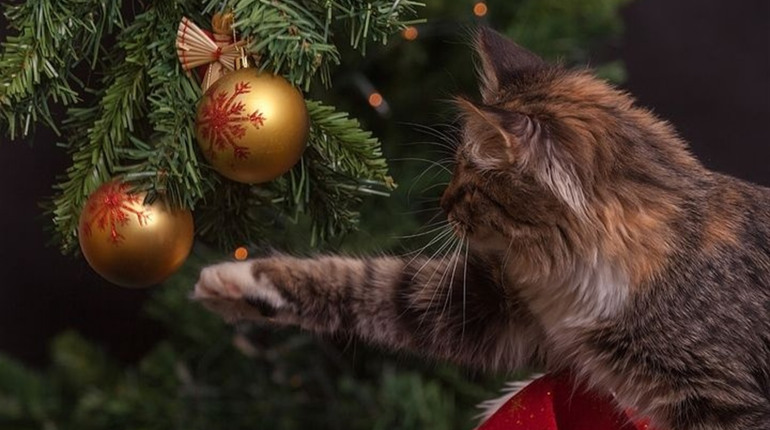 Топ-10 фото попаснян в Instagram