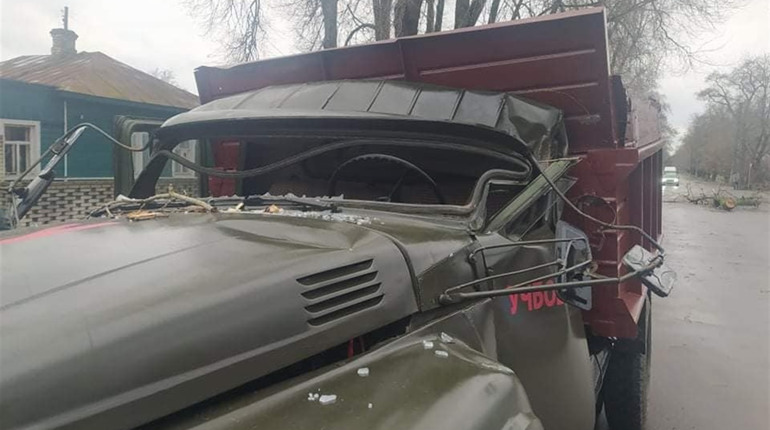 Через негоду гілка, що впала, покалічила двох шосткинців. Що відомо про їх стан?
