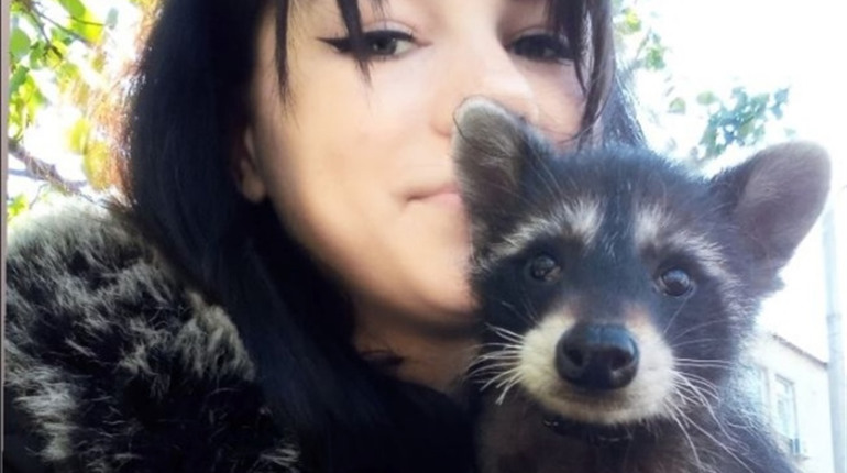 Любить кавун, боїться шампуню та спить у гамаку: скадовчанка завела вдома єнота-полоскуна. ФОТО