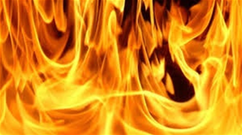 У Гуляйполі горіли дві автівки
