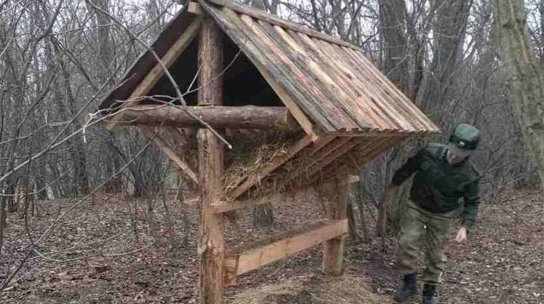 В Запорізькій області закінчився сезон полювання