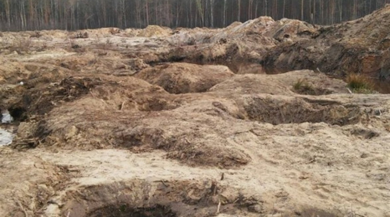 На Сарненщині провели ще чотири бурштинові аукціони: хто отримав дозвіл на видобуток