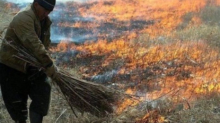 Рятувальники попереджають: штрафи за випалювання сухої трави зросли до 6 тисяч гривень