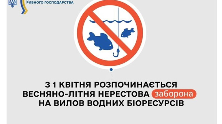 З 1 квітня у більшості водойм триває весняно-літня нерестова заборона на вилов риби