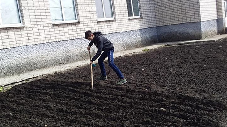 Шкільний двір Демино-Олександрівського ліцею прикрасять троянди, чорнобривці та майори