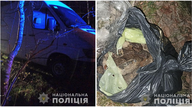 Викидали пакети з автомобіля: на Сарненщині викрили чоловіків на перевезенні бурштину