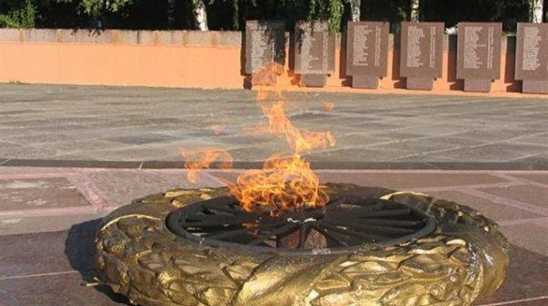 8 і 9 травня: День пам'яті, примирення та перемоги. Які заходи відбудуться в Нікополі?
