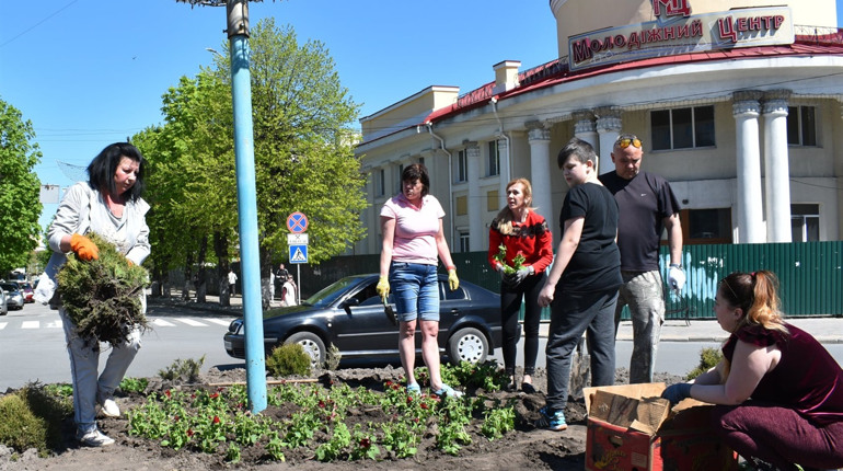 У центрі Новограда громадські активісти посадили 800 саджанців петунії
