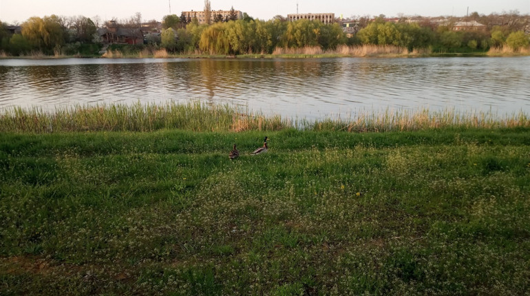 Первомайський пляж перевірять на готовність до купального сезону