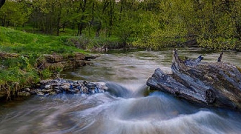 Фотографів запрошують до участі у міжнародному конкурсі: стартує українська частина Wiki Loves Earth