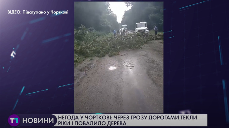 У Чорткові та районі вчорашня короткочасна негода наробила лиха (+ відео)