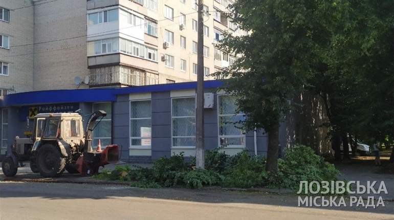 Повалені дерева, відключення світла та потоп у під'їздах: наслідки зливи на Лозівщині