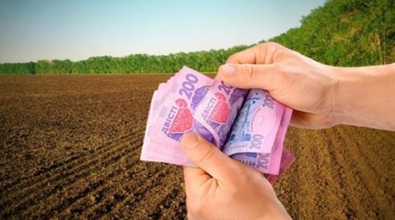 Як підготуватися до продажу паю: інструкція для землевласників