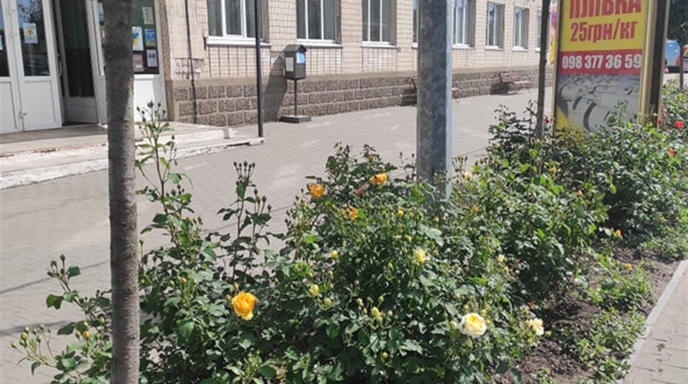У Старокостянтинові відкривають Центр масової вакцинації людей проти COVID-19: де і коли
