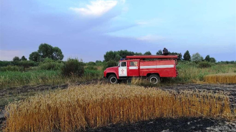 У Вертіївській ОТГ ліквідовано пожежу пшеничного поля