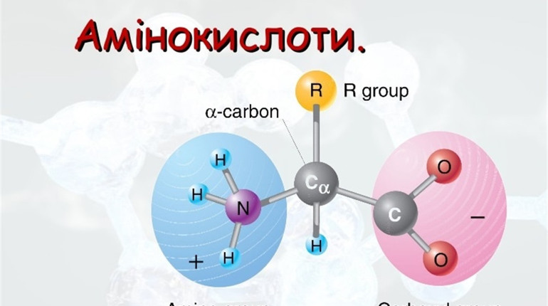 Амінокислоти: для чого приймати і як замовити?